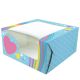 Rainbow Square Cake Box - 10 x 5