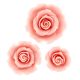 Pink Rose Sugarsoft - Extra E171 - Assorted