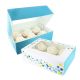 Cupcake Box - Confetti Teal - 2 Pack