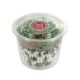 Holly Berries Sprinkle Baking Cases