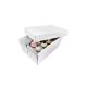 Tall Cupcake Box - Holds 12