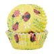 Cupcake Cases Foil Lined – Ladybird Pk/30 - Foil-lined Ladybird Cupcake Cases