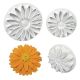 Floral Plunger Cutters - XL Veined Sunflower Daisy Gerbera (85mm / 3.3”) - Detailed Floral Designs